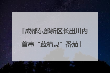 成都东部新区长出川内首串“蓝精灵”番茄